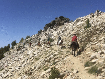 Darwood Outfitting: Windy Peak in pasayten wilderness